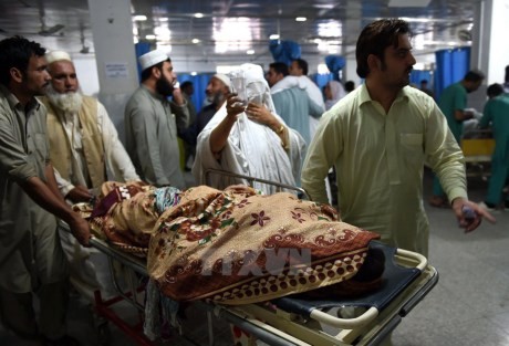 PBB meminta supaya membantu  Afghanistan dan Pakistan untuk mengatasi akibat gempa bumi - ảnh 1