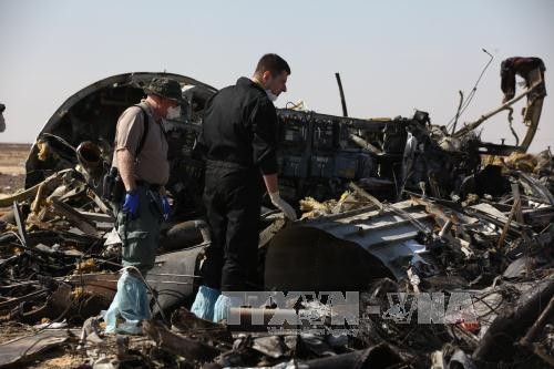 Belum ada “bukti langsung” tentang kaum teroris  yang terlibat dengan  jatuhnya pesawat  Rusia. - ảnh 1