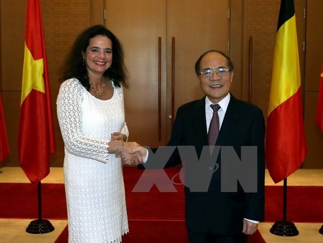 Ketua MN Vietnam, Nguyen Sinh Hung mengadakan pembicaraan dengan Ketua Senat Belgia - ảnh 1