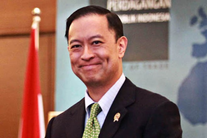 Indonesia berseru kepada APEC supaya mengurangi tarif terhadap “barang dagangan berkembang” - ảnh 1