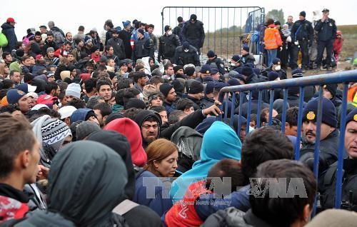 Negara-Negara pendiri Uni Eropa  berseru untuk  berpadu tenaga memecahkan krisis migran - ảnh 1