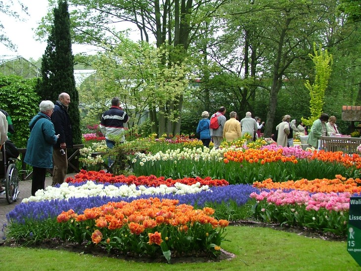 Taman Bunga Kota: Tempat berhimpun hampir semua jenis bunga di kota Da Lat - ảnh 2