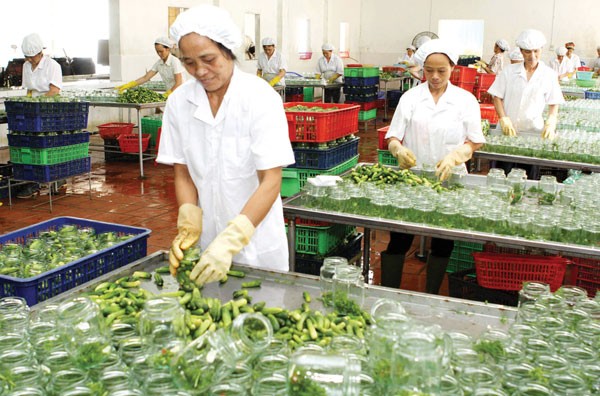 Ekspor agribisnis Vietnam  pada latar belakang  berintegrasi pada TPP-AEC - ảnh 1