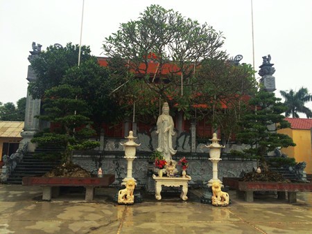 Cuong Xa - Pagoda yang berusia seribu tahun di provinsi Hai Duong - ảnh 1