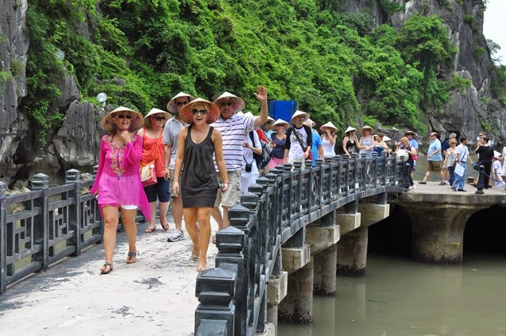 Vietnam akan cepat mempelajari opsi dan  peta jalan bebas visa - ảnh 1