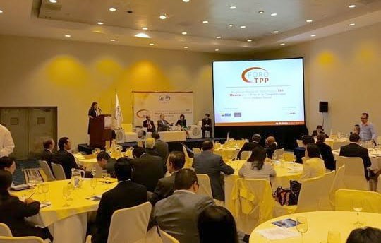 Vietnam menghadiri forum tentang peluang dan tantangan TPP di Meksiko - ảnh 1
