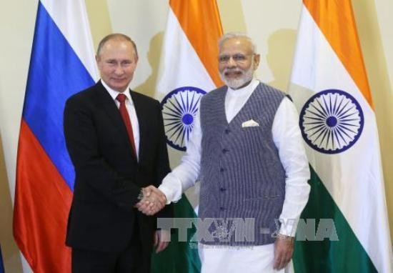Pembukaan KTT  ke 8 BRICS di India - ảnh 1