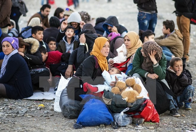 Australia menerima 500 pengungsi dari Suriah dan Irak - ảnh 1