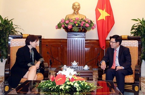 Deputi PM, Menlu Pham Binh Minh menerima Dubes Italia, Cecilia Piccioni - ảnh 1