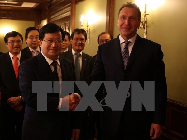 Mendorong penggelaran proyek-proyek kerjasama ekonomi titik berat antara Vietnam-Rusia - ảnh 1