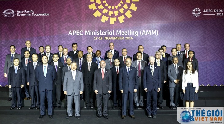 Para Menlu dan Ekonomi APEC menegaskan tekat memperkuat konektivitas  ekonomi regional - ảnh 1