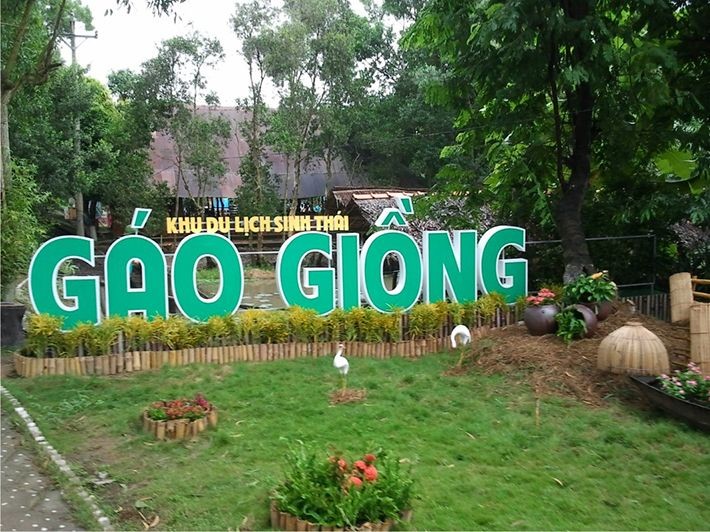 Gao Giong- zona ekowisata  yang menarik di kawasan Dong Thap Muoi - ảnh 1