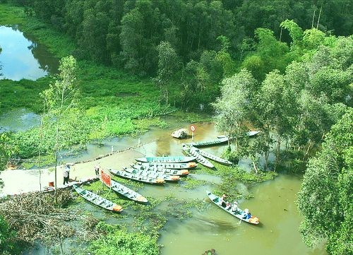 Gao Giong- zona ekowisata  yang menarik di kawasan Dong Thap Muoi - ảnh 2