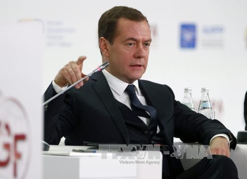 PM Rusia, Dmitri Medvedev  terpilih lagi menjadi Ketua Partai “Rusia Bersatu” - ảnh 1