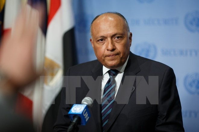Mesir dan UAE membentuk mekanisme konsultasi politik bilateral - ảnh 1