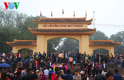 Provinsi Bac Ninh  mengadakan Pesta Lim-2017 - ảnh 1