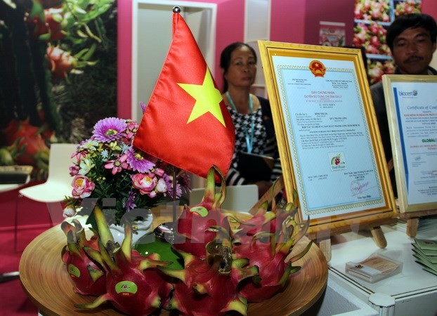Buah naga Vietnam disosialisasikan  di Pekan Raya Internasional Berlin - ảnh 1