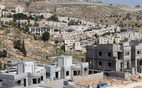 AS tidak setuju dengan pembangunan  zona-zona pemukiman oleh Israel di Palestina - ảnh 1