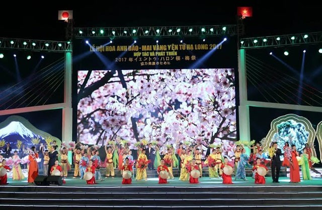 Pembukaan Festival Bunga Sakura dan Bunga Mai Kuning Yen Tu-Ha Long tahun 2017 - ảnh 1