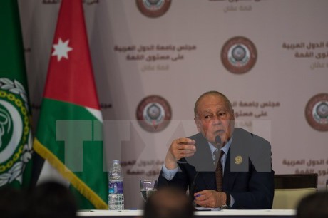 Liga Arab berseru kepada ICRC supaya mengintervensi  masalah tahanan Palestina - ảnh 1