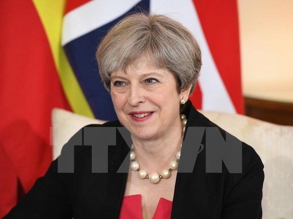 Masalah Brexit: PM Theresa May berseru supaya menghentikan kontradiksi dalam internal Partai Konservatif - ảnh 1