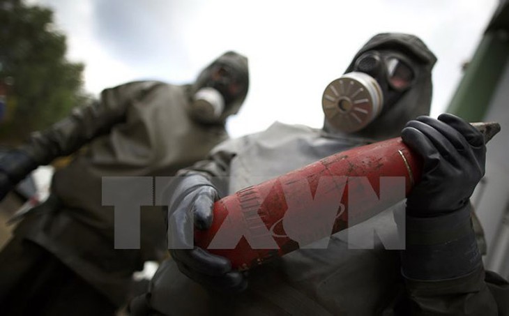 Pemerintah Suriah mengingkari penggunaan senjata  kimia - ảnh 1