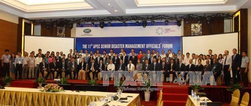 Pembukaan Konferensi ke-11  Para Pejabat  Senior APEC urusan manajemen bencana alam - ảnh 1