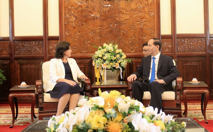 Presiden Vietnam, Tran Dai Quang  menerima para Dubes yang datang menyampaikan surat mandat - ảnh 4