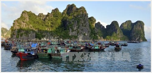 Direktorat Jenderal Pariwisata Vietnam memperkenalkan dan menyosialisasikan pariwisata di Italia - ảnh 1