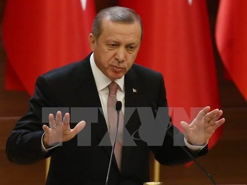 Turki menyatakan  berinisiatif  menghadapi situasi di Irak dan Suriah - ảnh 1