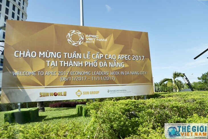 Para pakar internasional menilai tinggi peranan Vietnam terhadap APEC 2017 - ảnh 1