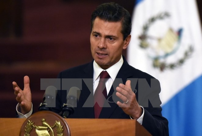 Presiden Meksiko, Enrique Pena Nieto: Vietnam dan Meksiko mengaitkan Pasifik - ảnh 1