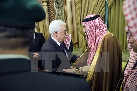 Arab Saudi dan Palestina  berbahas tentang proses perdamaian Timur Tengah - ảnh 1
