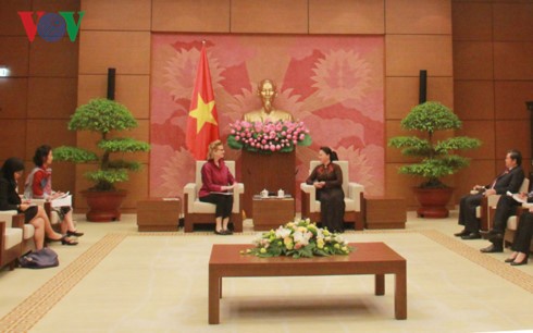 Ketua MN Vietnam, Nguyen Thi Kim Ngan menerima Direktor Nasional UNDP yang baru di Vietnam - ảnh 1