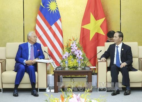 Presiden Vietnam, Tran Dai Quang menemui para pemimpin dari perekonomian- perekonomian APEC sehubungan dengan Pekan Tingkat Tinggi APEC 2017 - ảnh 2