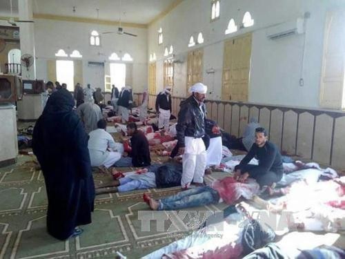 Komunitas internasional mengutukn serangan terhadap Masjid   Al Rawadah di Mesir - ảnh 1