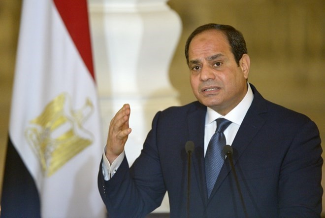 Mesir  mengumumkan daftar  sementara  tentang capres - ảnh 1