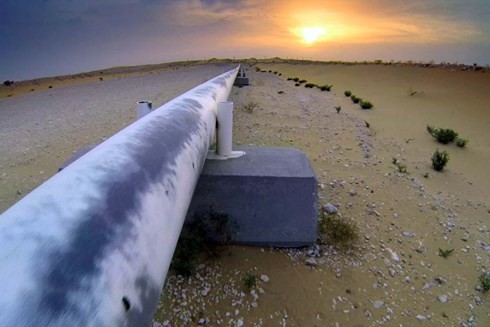 Israel menandatangani permufakatan  gas bakar yang bersejarah dengan Mesir - ảnh 1