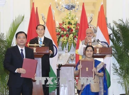 Vietnam dan India mendorong lebih lanjut lagi kerjasama di bidang-bidang  - ảnh 1