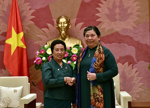 Memperkuat kerjasama komprehensif Vietnam-Laos - ảnh 1