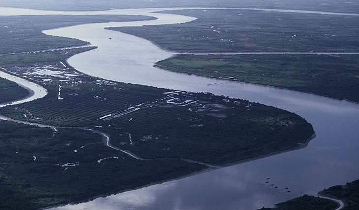 Vietnam terus mendorong perkembangan yang berkesinambungan daerah aliran sungai Mekong - ảnh 2