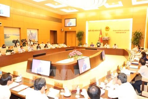 Komite Tetap MN Vietnam memberikan pendapat kepada  RUU tentang Unit Administrasi-Ekonomi Khusus - ảnh 1