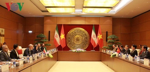 Pembicaraan tingkat tinggi Vietnam-Iran - ảnh 1