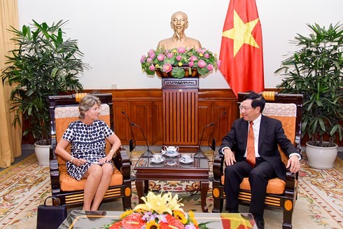 Deputi PM, Menlu Vietnam, Pham Binh Minh menerima Duta Besar Luar Biasa dan Berkuasa Penuh Spanyol, Maria Jesus - ảnh 1