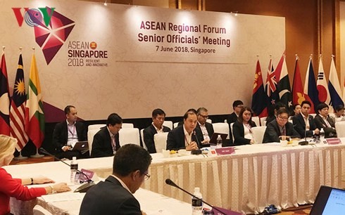 Konferensi Menteri ASEAN+3, Konferensi Tingkat Tinggi Asia Timur dan ARF - ảnh 1