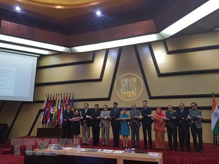 Kerjasama ASEAN-India mencapai  hasil-hasil positif - ảnh 1
