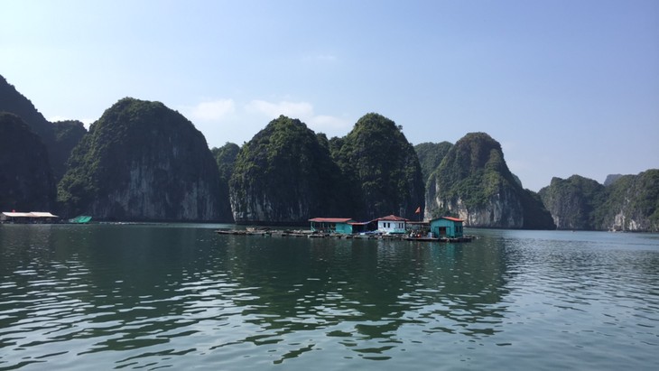 Berwisata ke Teluk Ha Long-obyek wisata yang menarik bagi  para wisatawan - ảnh 1