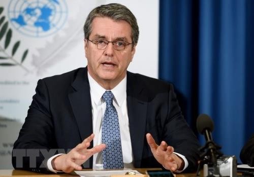 WTO: Perdagangan harus turut melaksanakan target perkembangan yang berkesinambungan - ảnh 1