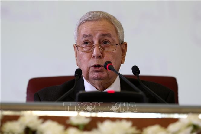 Aljazair: Presiden sementara berseru supaya mengadakan dialog nasional - ảnh 1