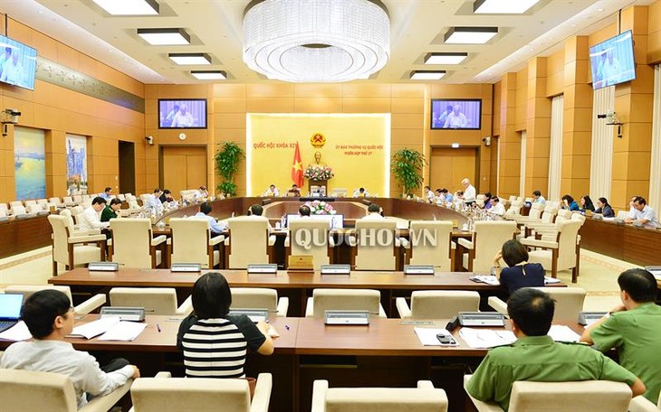 Komite Tetap MN Viet Nam meminta  supaya meningkatkat lebih lanjut lagi hak dan tanggung jawab  dari para pemuda - ảnh 1